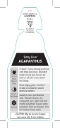 Picture of AGAPANTHUS BABY BLUE                                                                                                                                  