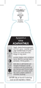 Picture of AGAPANTHUS WHITE                                                                                                                                      