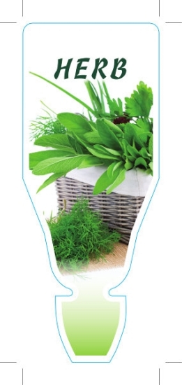Picture of HERB MIXED PICTURE (UNNAMED VARIETY)                                                                                                                  