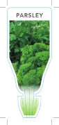 Picture of **HERB PARSLEY (Petroselinum crispum)                                                                                                                 