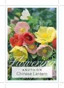 Picture of ABUTILON CHINESE LANTERN                                                                                                                              