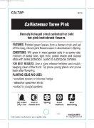 Picture of CALLISTEMON TAREE PINK                                                                                                                                