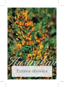Picture of EUTAXIA OBOVATA                                                                                                                                       