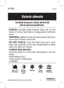 Picture of EUTAXIA OBOVATA                                                                                                                                       