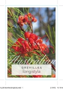 Picture of GREVILLEA LONGISTYLA                                                                                                                                  