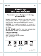 Picture of MICHELIA FIGO PORT WINE MAGNOLIA                                                                                                                      