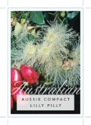 Picture of SYZYGIUM AUSTRALE AUSSIE COMPACT LILLY PILLY                                                                                                          