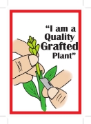 Picture of I&#39;M A QUALITY GRAFTED PLANT                                                                                                                       