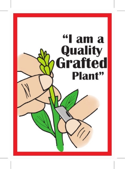 Picture of I&#39;M A QUALITY GRAFTED PLANT                                                                                                                       