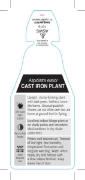 Picture of **HOUSEPLANT ASPIDISTRA ELATIOR CAST IRON PLANT                                                                                                       