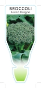 Picture of VEGETABLE BROCCOLI GREEN DRAGON (Brassica oleracea var Italica)                                                                                       