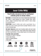 Picture of IXORA LITTLE WILLY                                                                                                                                    