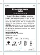 Picture of **FRUIT LONGAN Dimocarpus longan (TICK BOX)                                                                                                           