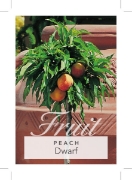 Picture of **FRUIT PEACH DWARF                                                                                                                                   