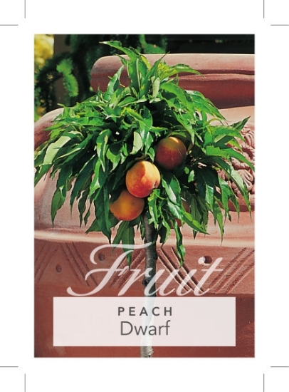Picture of **FRUIT PEACH DWARF                                                                                                                                   