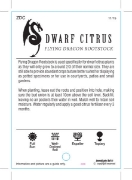 Picture of FRUIT CITRUS DWARF                                                                                                                                    