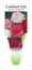 Picture of ANNUAL CARNATION GIANT CHABAUD (Dianthus carophyllus)                                                                                                 