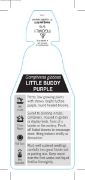 Picture of GOMPHRENA LITTLE BUDDY PURPLE                                                                                                                         