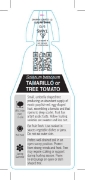 Picture of FRUIT TAMARILLO TREE TOMATO                                                                                                                           