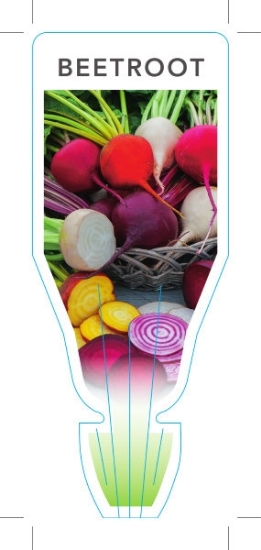 Picture of VEGETABLE BEETROOT (TICK BOX) (Beta vulgaris)                                                                                                         