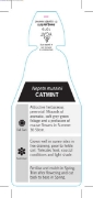 Picture of HERB CATMINT (Nepeta mussinii)                                                                                                                        