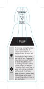 Picture of BULB TULIP                                                                                                                                            