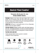 Picture of BANKSIA GIANT CANDLES                                                                                                                                 