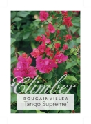 Picture of BOUGAINVILLEA TANGO SUPREME                                                                                                                           