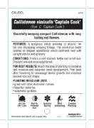Picture of CALLISTEMON VIMINALIS CAPTAIN COOK                                                                                                                    