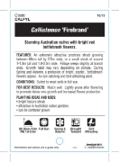 Picture of CALLISTEMON FIREBRAND                                                                                                                                 