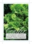 Picture of CONIFER CHAMAECYPARIS OBTUSA NANA DWARF FALSE CYPRESS                                                                                                 