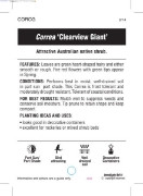 Picture of CORREA CLEARVIEW GIANT                                                                                                                                