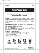 Picture of CORREA DUSKY BELLS                                                                                                                                    