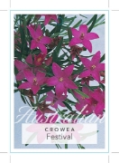 Picture of CROWEA FESTIVAL                                                                                                                                       