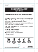 Picture of EREMOPHILA DECIPIENS SLENDER FUCHSIA                                                                                                                  