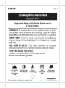 Picture of EREMOPHILA MACULATA COMPACT FORM                                                                                                                      