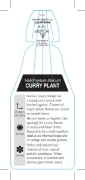 Picture of HERB CURRY PLANT (Helichrysum italicum)                                                                                                               