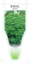 Picture of HERB BASIL BUSH (Ocimum minimum)                                                                                                                      