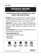 Picture of CALLISTEMON HARKNESS                                                                                                                                  