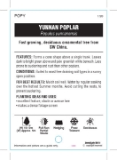 Picture of POPULUS YUNNANENSIS                                                                                                                                   