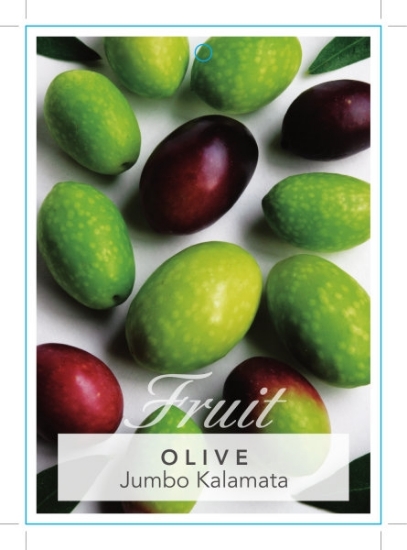 Picture of FRUIT OLIVE JUMBO KALAMATA Jumbo Tag                                                                                                                  