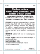 Picture of FRUIT PANAMA BERRY/MALAY CHERRY                                                                                                                       