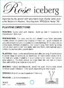 Picture of ROSE ICEBERG (FL) **PREMIUM LABEL**                                                                                                                   