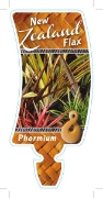 Picture of PHORMIUM NEW ZEALAND FLAX                                                                                                                             