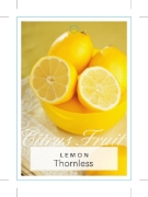Picture of FRUIT CITRUS LEMON THORNLESS                                                                                                                          