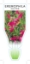 Picture of EREMOPHILA MACULATA HOT PINK                                                                                                                          