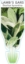 Picture of STACHYS BYZANTINA LAMBS EAR OR TONGUE                                                                                                                 