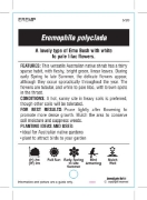 Picture of EREMOPHILA POLYCLADA                                                                                                                                  