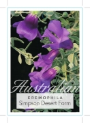 Picture of EREMOPHILA MACDONNELLII                                                                                                                               