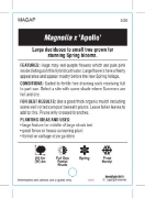 Picture of MAGNOLIA APOLLO                                                                                                                                       